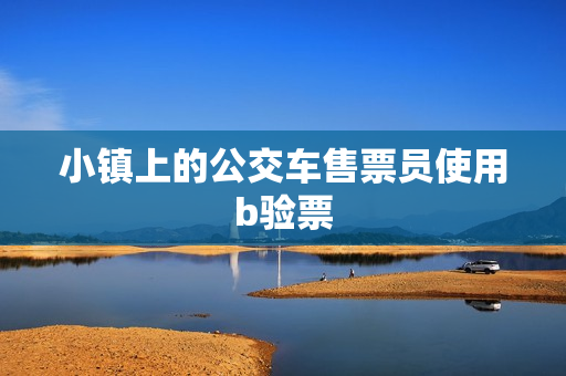 小镇上的公交车售票员使用b验票