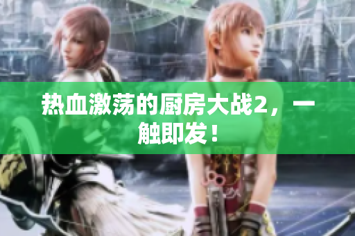 热血激荡的厨房大战2，一触即发！