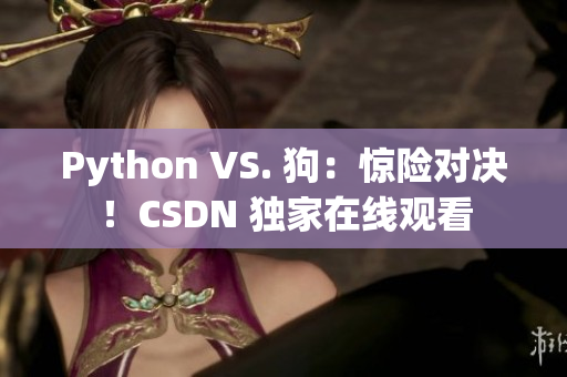 Python VS. 狗：惊险对决！CSDN 独家在线观看