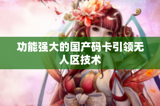 功能强大的国产码卡引领无人区技术
