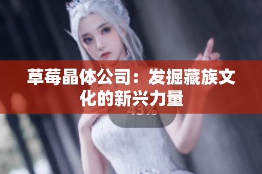 草莓晶体公司：发掘藏族文化的新兴力量