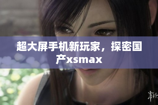 超大屏手机新玩家，探密国产xsmax