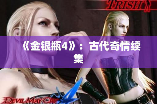《金银瓶4》：古代奇情续集