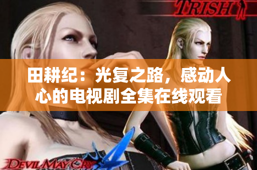 田耕纪：光复之路，感动人心的电视剧全集在线观看