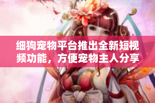 细狗宠物平台推出全新短视频功能，方便宠物主人分享生活点滴