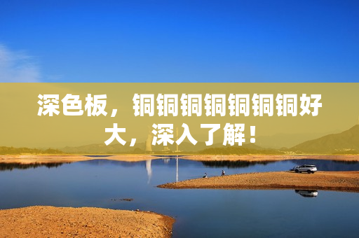 深色板，铜铜铜铜铜铜铜好大，深入了解！