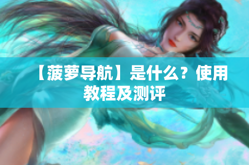 【菠萝导航】是什么？使用教程及测评