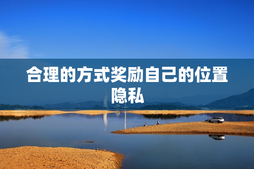 合理的方式奖励自己的位置隐私