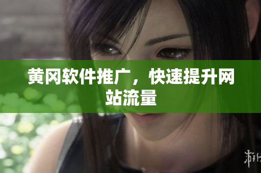 黄冈软件推广，快速提升网站流量