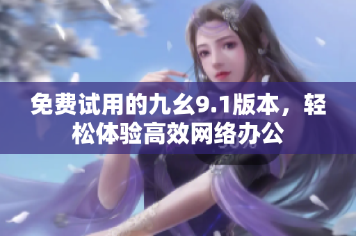 免费试用的九幺9.1版本，轻松体验高效网络办公