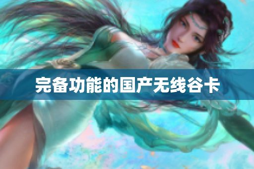 完备功能的国产无线谷卡