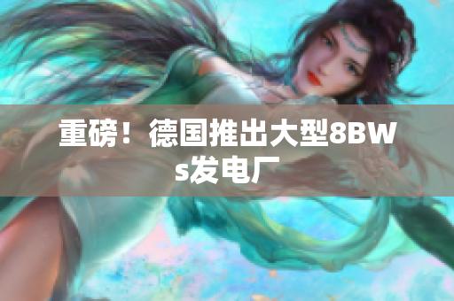 重磅！德国推出大型8BWs发电厂