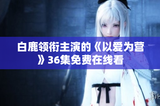 白鹿领衔主演的《以爱为营》36集免费在线看