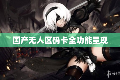 国产无人区码卡全功能呈现