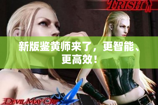 新版鉴黄师来了，更智能、更高效！