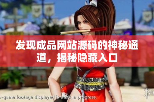 发现成品网站源码的神秘通道，揭秘隐藏入口