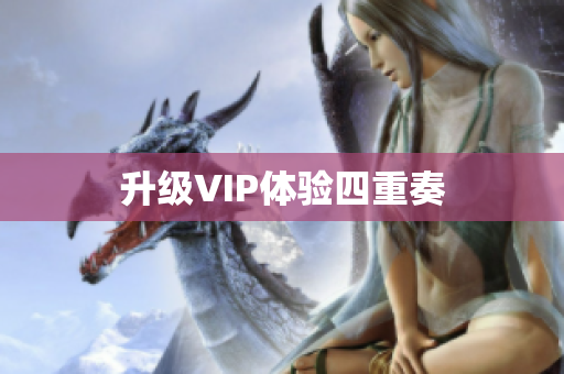 升级VIP体验四重奏