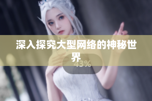 深入探究大型网络的神秘世界