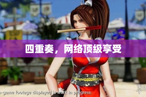 四重奏，网络顶级享受