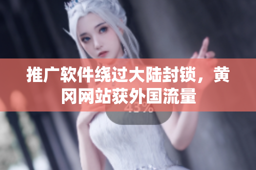 推广软件绕过大陆封锁，黄冈网站获外国流量
