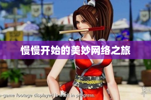 慢慢开始的美妙网络之旅