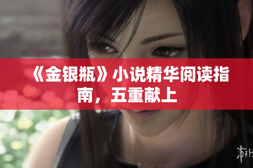 《金银瓶》小说精华阅读指南，五重献上