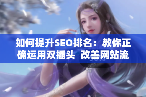如何提升SEO排名：教你正确运用双插头  改善网站流量