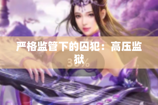 严格监管下的囚犯：高压监狱