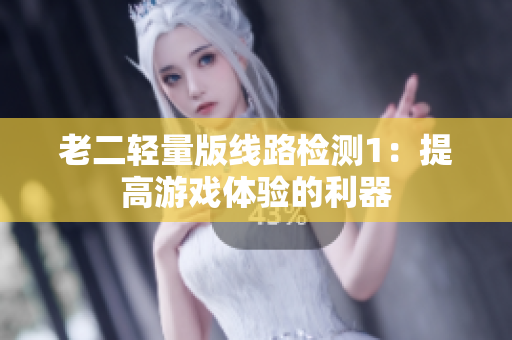老二轻量版线路检测1：提高游戏体验的利器