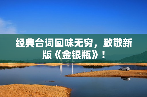 经典台词回味无穷，致敬新版《金银瓶》！