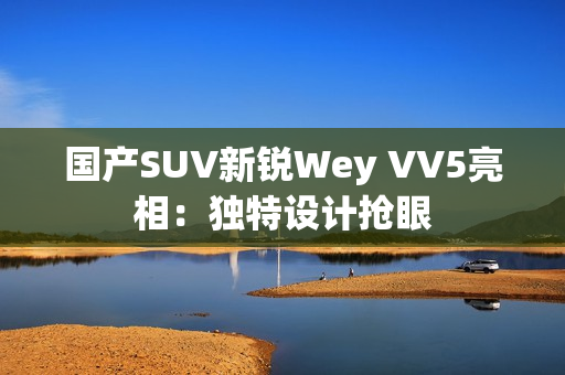 国产SUV新锐Wey VV5亮相：独特设计抢眼