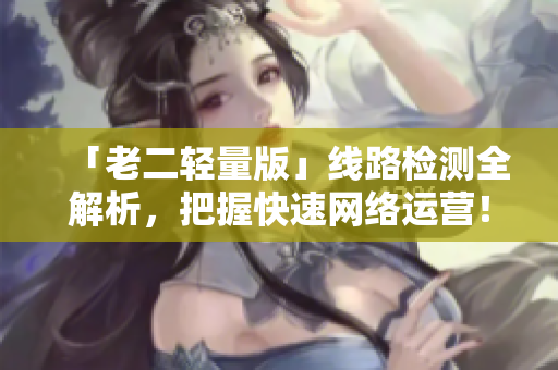 「老二轻量版」线路检测全解析，把握快速网络运营！