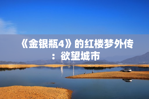 《金银瓶4》的红楼梦外传：欲望城市