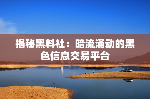 揭秘黑料社：暗流涌动的黑色信息交易平台