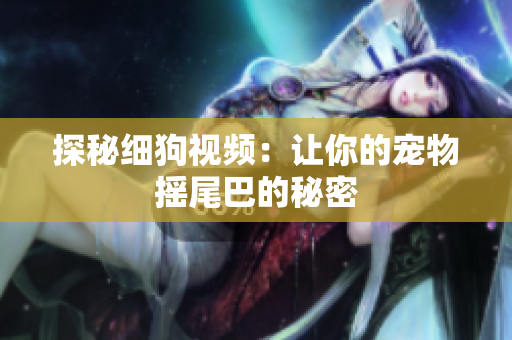 探秘细狗视频：让你的宠物摇尾巴的秘密