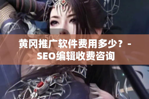 黄冈推广软件费用多少？- SEO编辑收费咨询