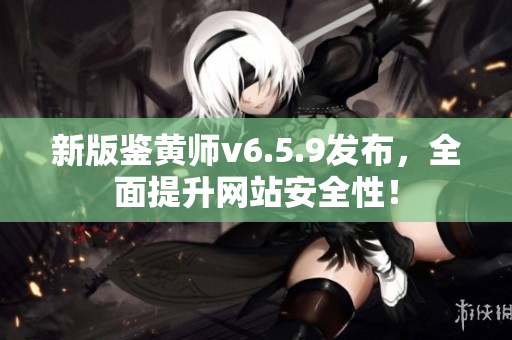 新版鉴黄师v6.5.9发布，全面提升网站安全性！