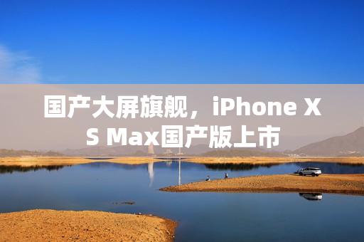 国产大屏旗舰，iPhone XS Max国产版上市