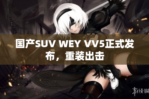 国产SUV WEY VV5正式发布，重装出击