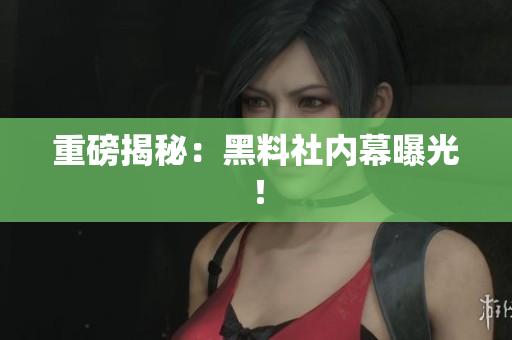 重磅揭秘：黑料社内幕曝光！