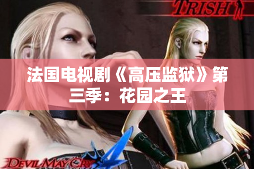 法国电视剧《高压监狱》第三季：花园之王