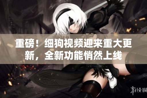 重磅！细狗视频迎来重大更新，全新功能悄然上线