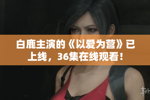 白鹿主演的《以爱为营》已上线，36集在线观看！