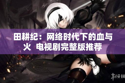 田耕纪：网络时代下的血与火  电视剧完整版推荐