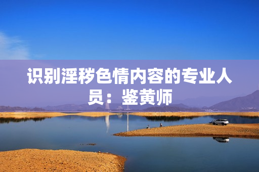 识别淫秽色情内容的专业人员：鉴黄师