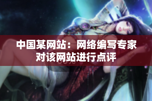 中国某网站：网络编写专家对该网站进行点评