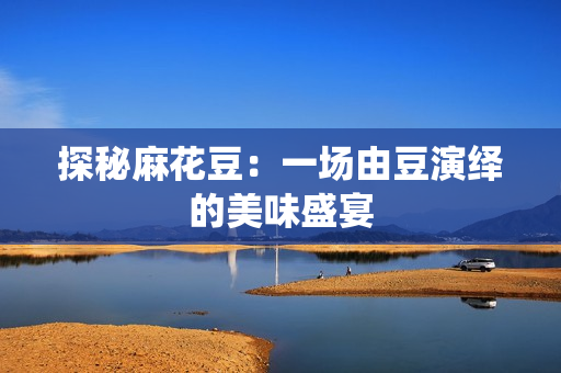 探秘麻花豆：一场由豆演绎的美味盛宴
