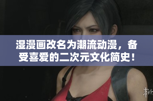 湿漫画改名为潮流动漫，备受喜爱的二次元文化简史！