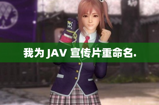 我为 JAV 宣传片重命名.
