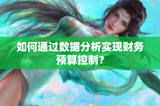 如何通过数据分析实现财务预算控制？